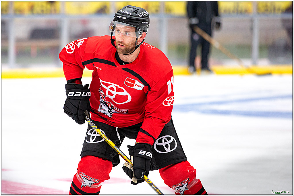 PENNY DEL; Koelner Haie Wintergame Training; Koeln, 02.12.2022
